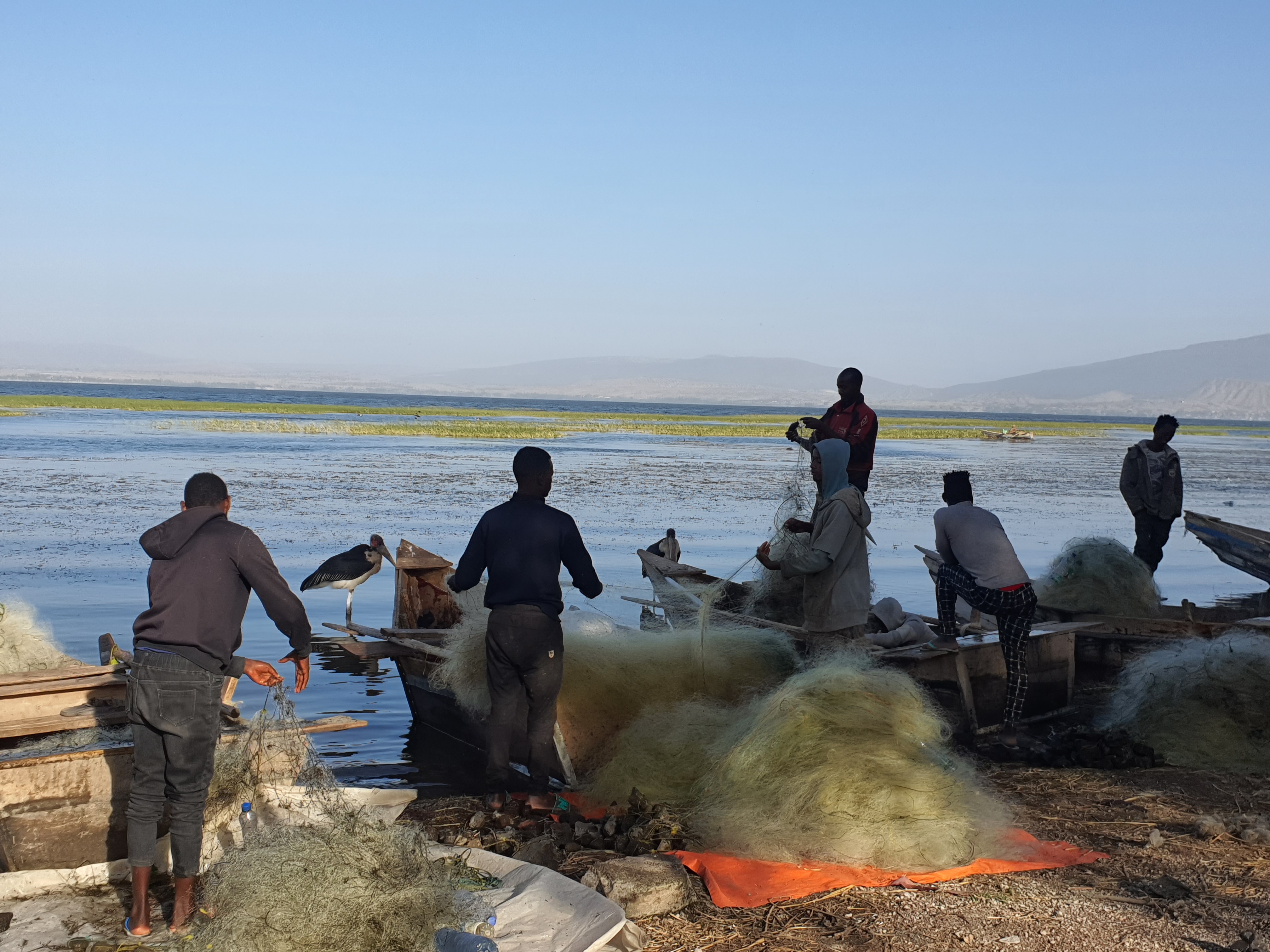 Formation des formateurs : Renforcement des capacités